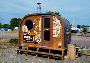 Karl Saun galerii pilt 1
