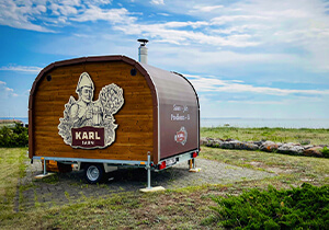 Karl Saun galerii pilt 7